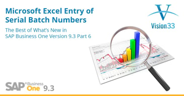 SAP Business One 9.3 Excel Entry of Serial Batch Numbers and Specific Cost-1.png