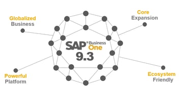 SAP-Business-One-9.3 image.png