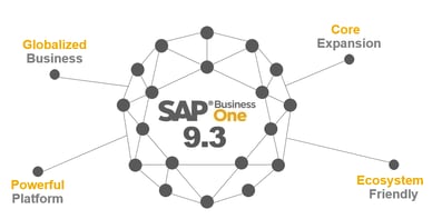 SAP-Business-One-9.3 image.png
