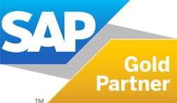 SAP Business One Annual Maintenance